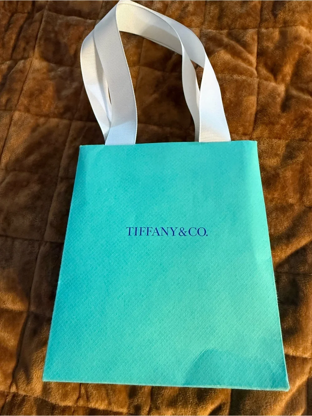 Tiffany & Co. Blue Gift Bag and Box Set